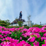 Images (5)